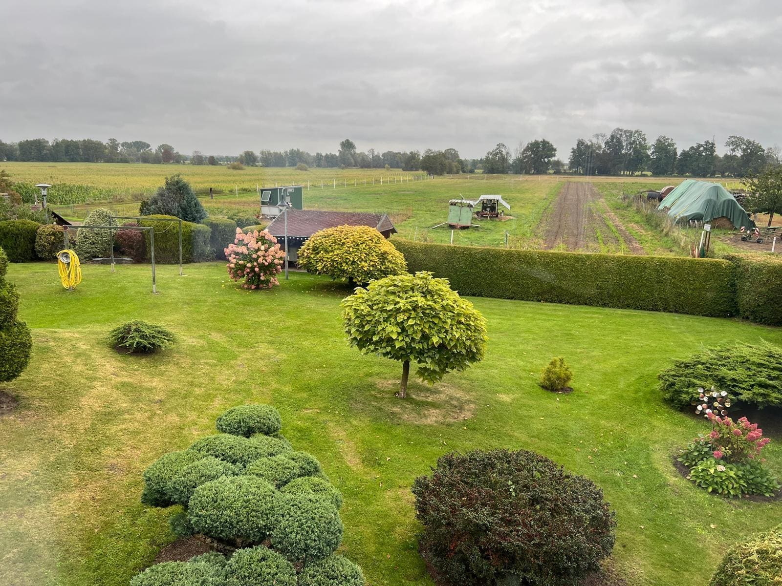 Pension Wiesengrund — Garten und Spreewiesen